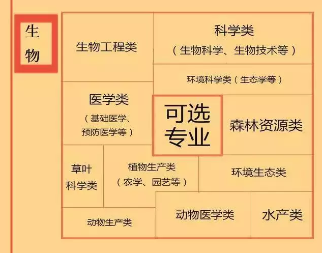 根據(jù)特長選專業(yè)，高中各門課程對(duì)應(yīng)大學(xué)專業(yè)實(shí)用盤點(diǎn)，志愿填報(bào)的你不可錯(cuò)過！