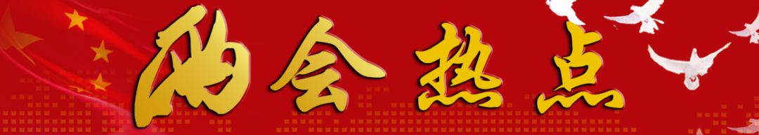 與你相關(guān)！政府工作報(bào)告釋放了什么教育信號(hào)？聽代表委員為你解讀 | 兩會(huì)熱點(diǎn)